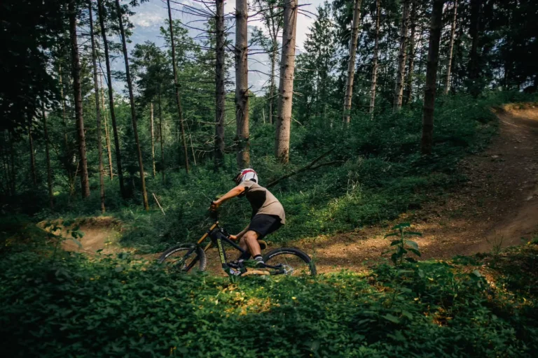 Instagram post from bikeparkbovec. This post is in position 0.