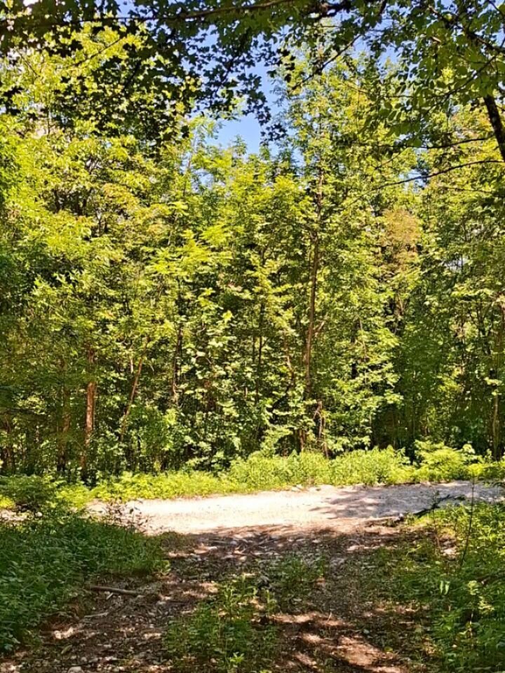 Instagram post from bikeparkbovec. This post is in position 1.