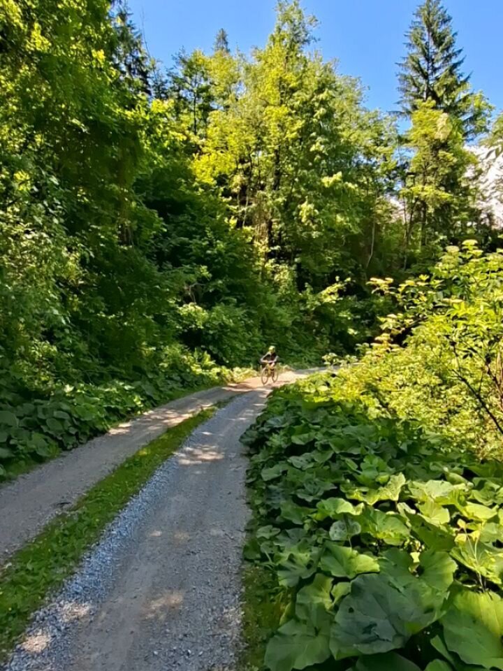 Instagram post from bikeparkbovec. This post is in position 5.