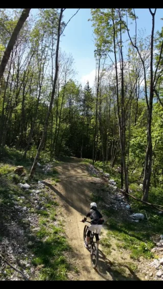 Instagram post from bikeparkbovec. This post is in position 8.